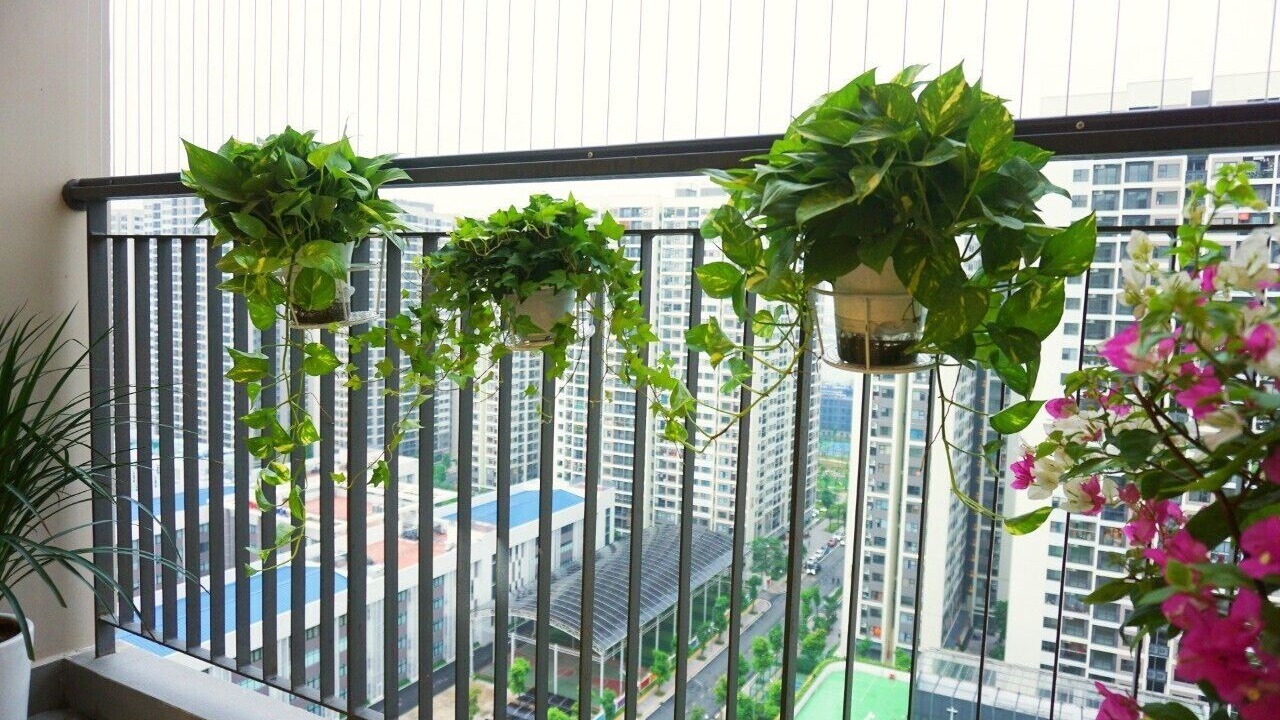 Photo of Outdoor in Hai Ba Trung