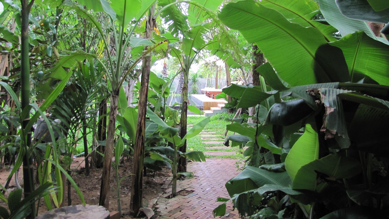 Photo of Outdoor in Siem Reap