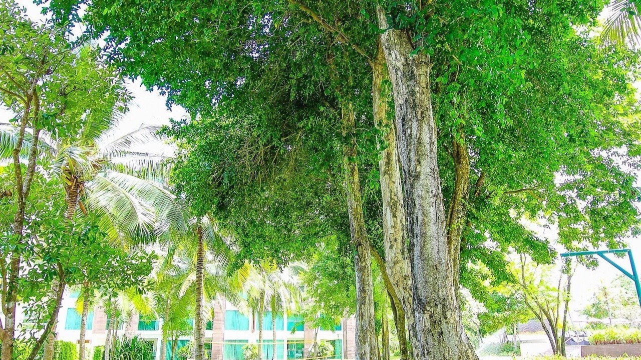 Photo of Outdoor in Khao Takiab