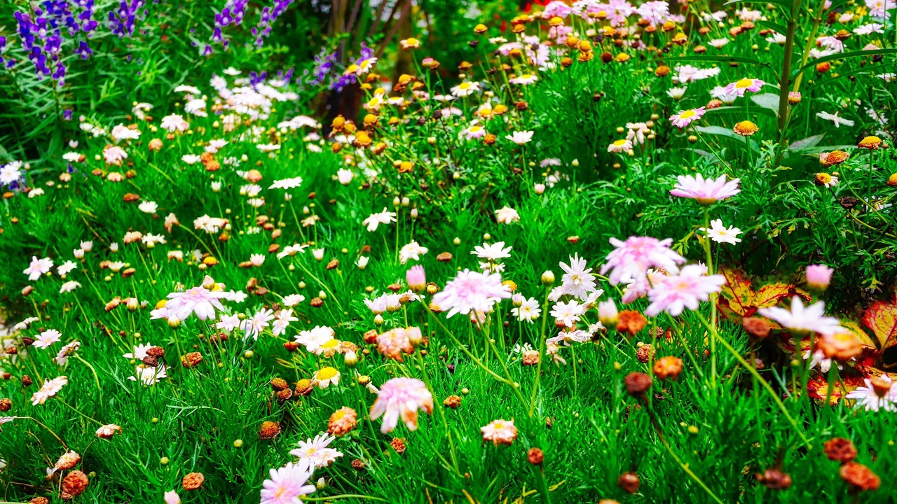 Photo of Outdoor in Tanah Rata