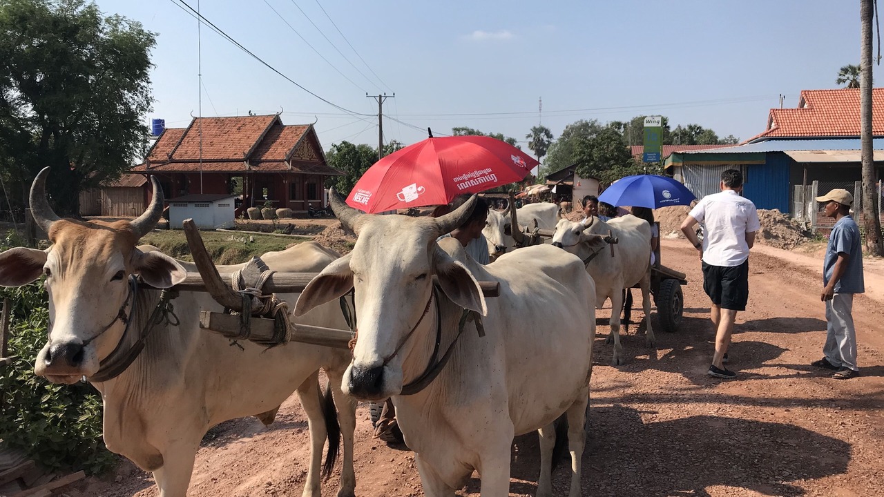 Photo of Outdoor in Siem Reap