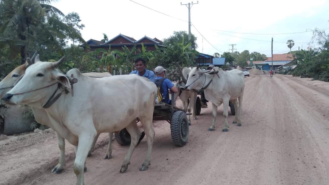 Photo of Outdoor in Siem Reap