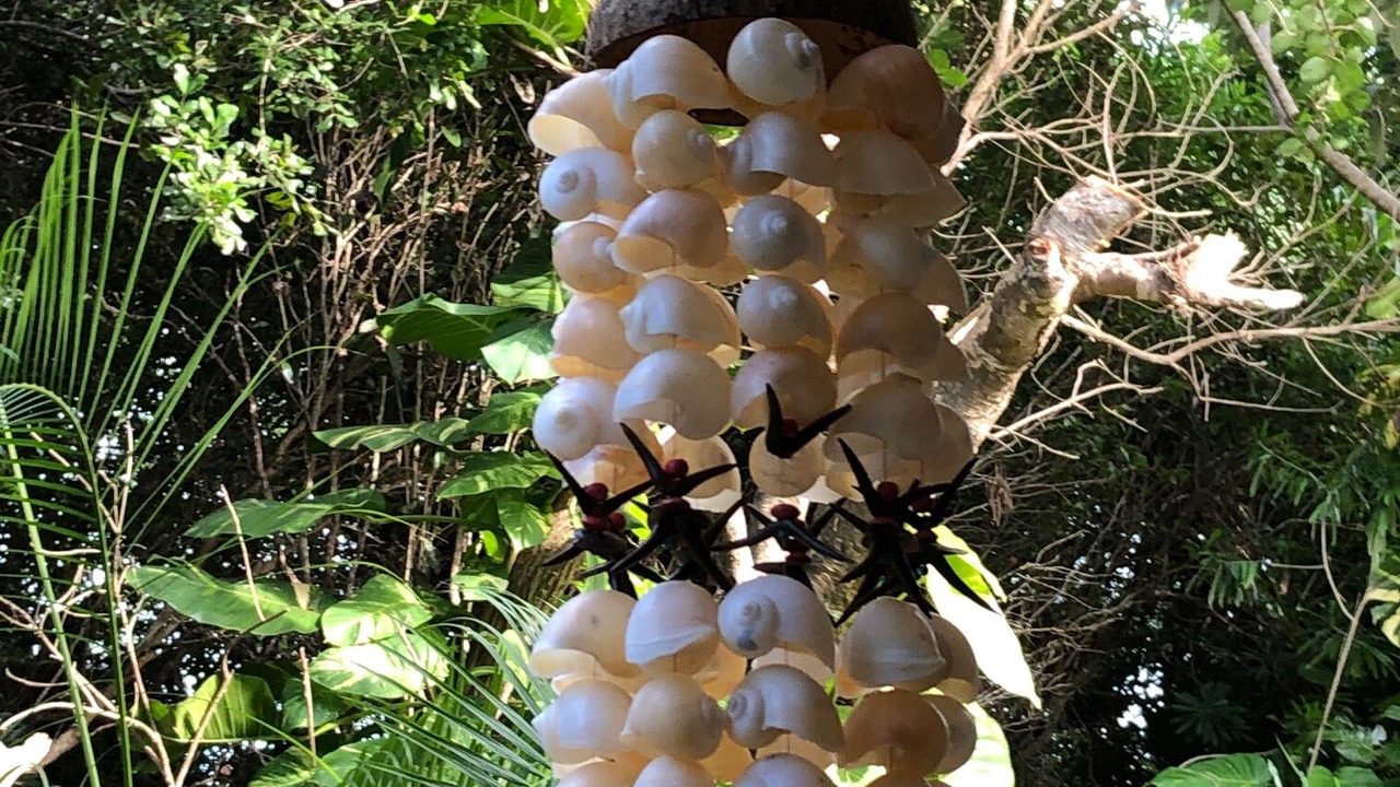 Photo of Outdoor in Akumal