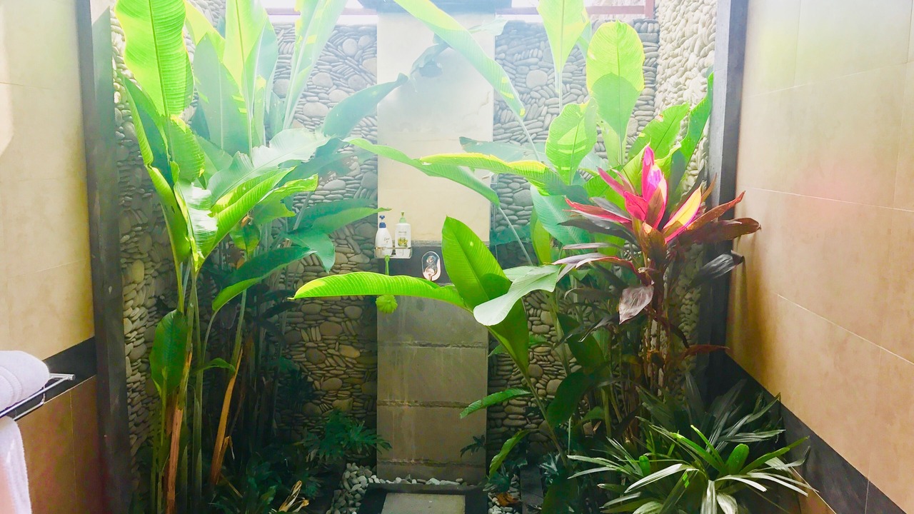 Photo of Others in Ubud
