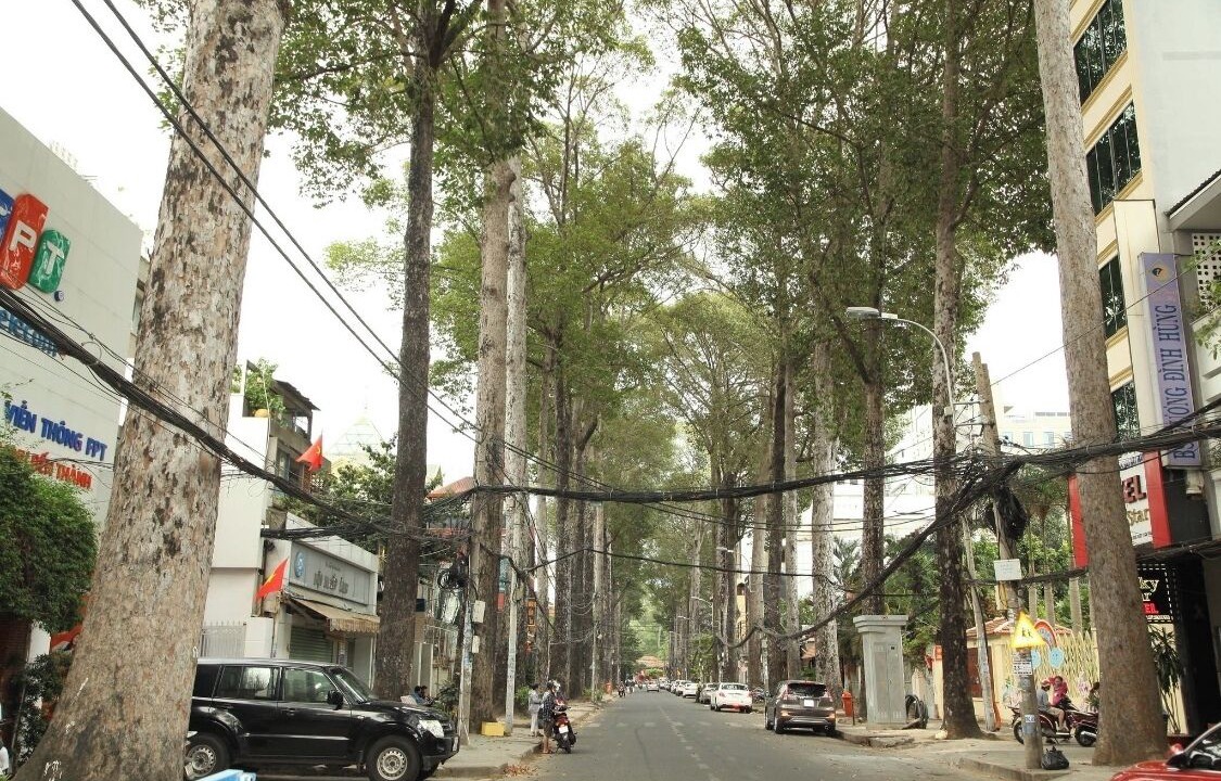Photo of Others in Bui Thi Xuan