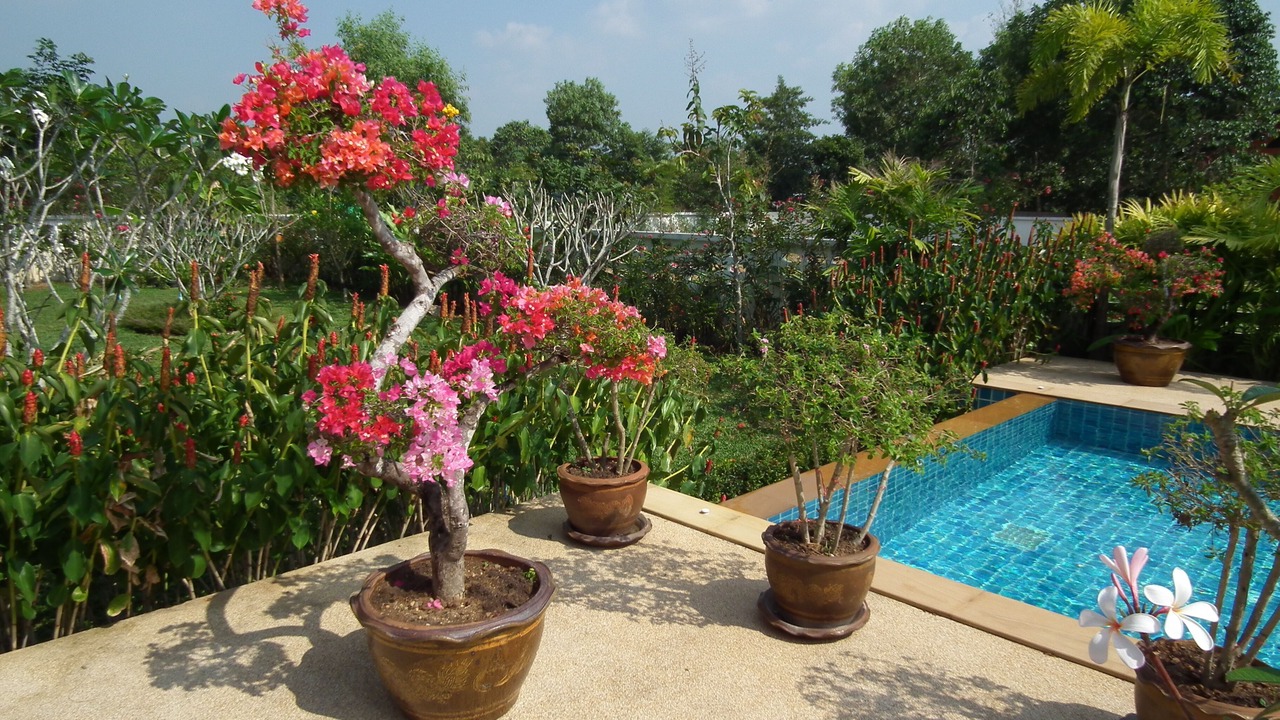 Photo of Outdoor in Thai Mueang
