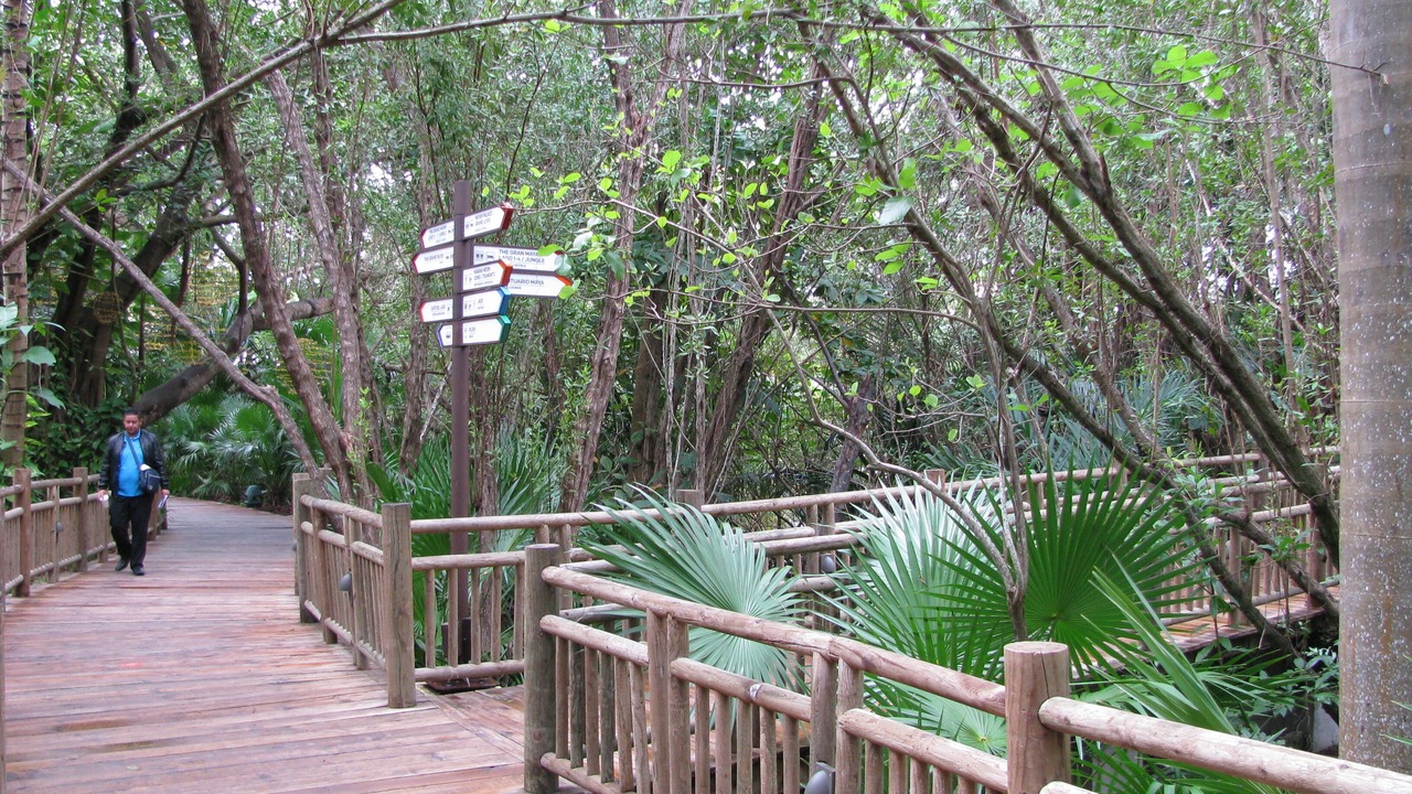 Photo of Outdoor in Villa Juarez
