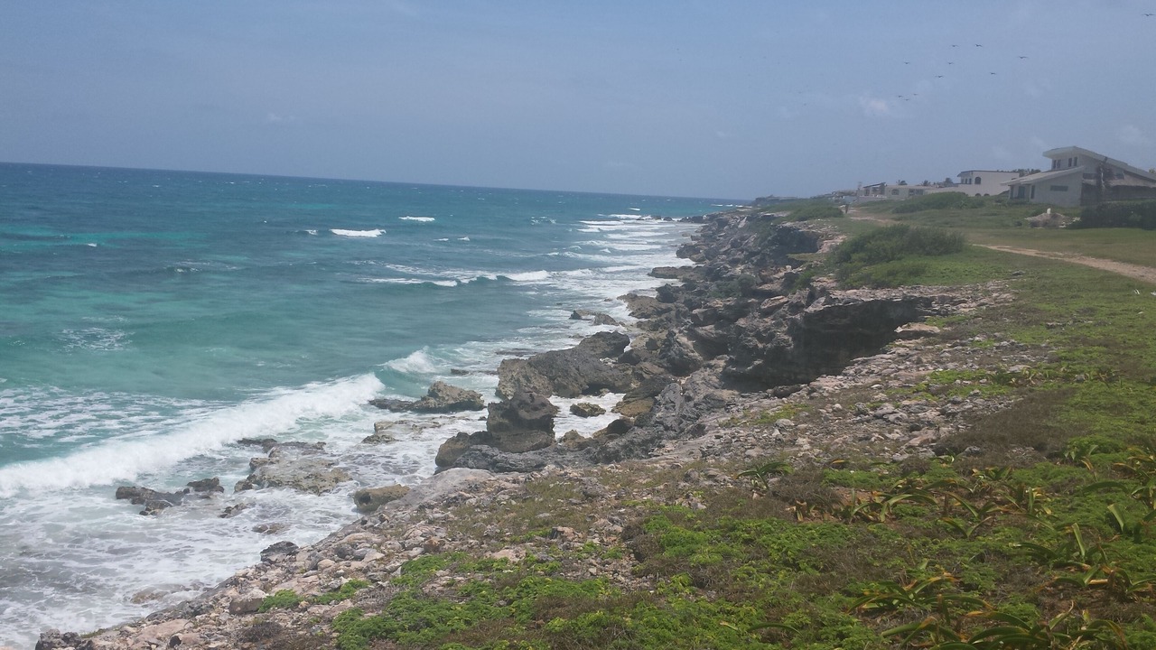 Photo of Others in Isla Mujeres