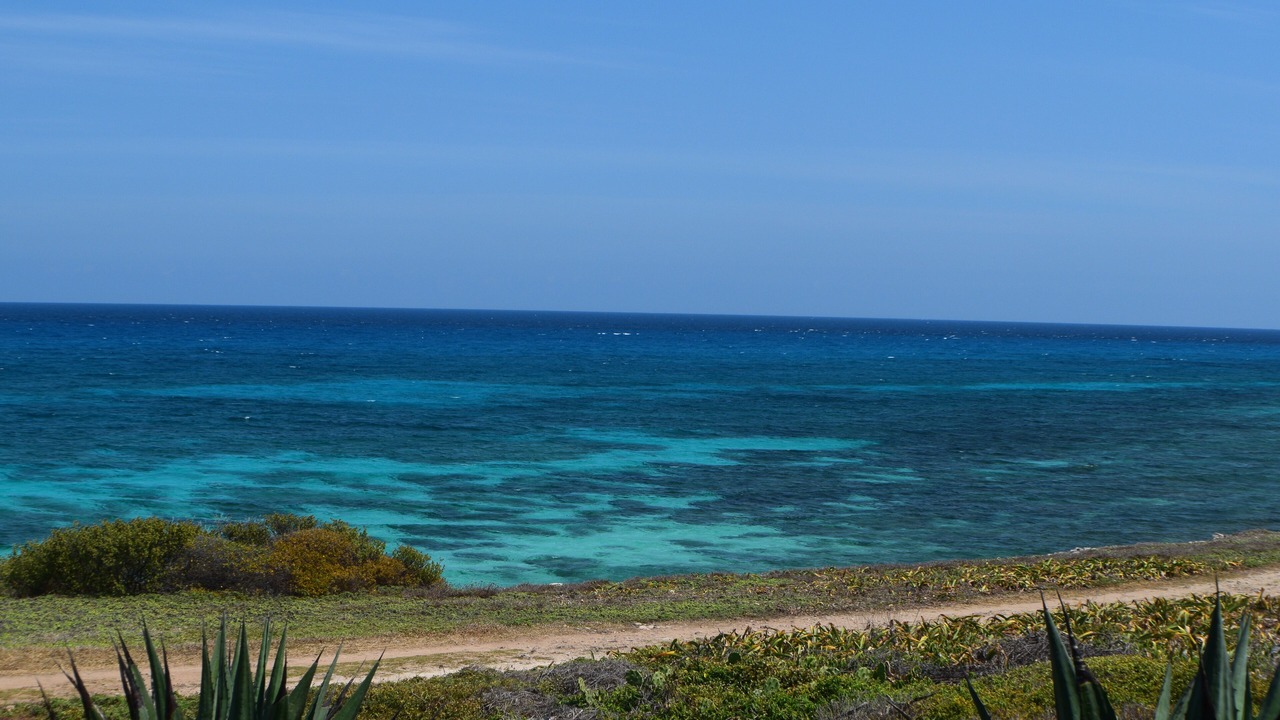 Photo of Others in Isla Mujeres