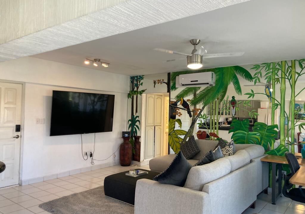 Photo of Livingroom in El Medano Ejidal