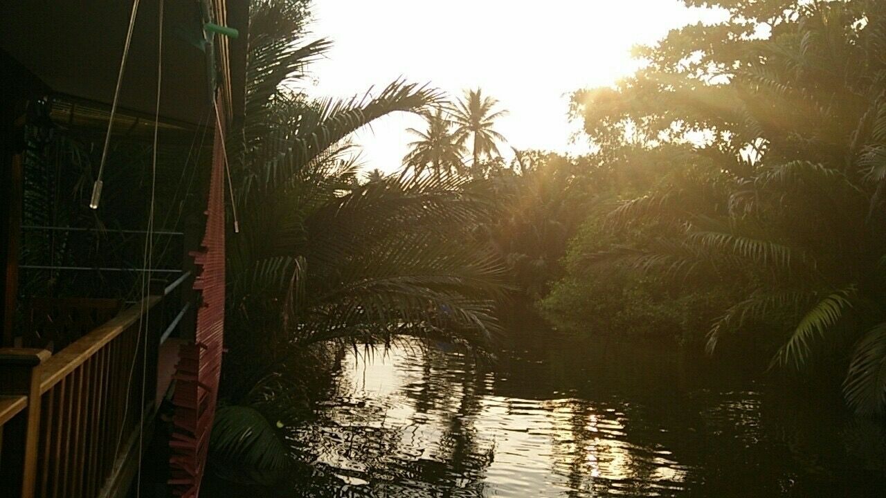 Photo of Others in Samut Songkhram