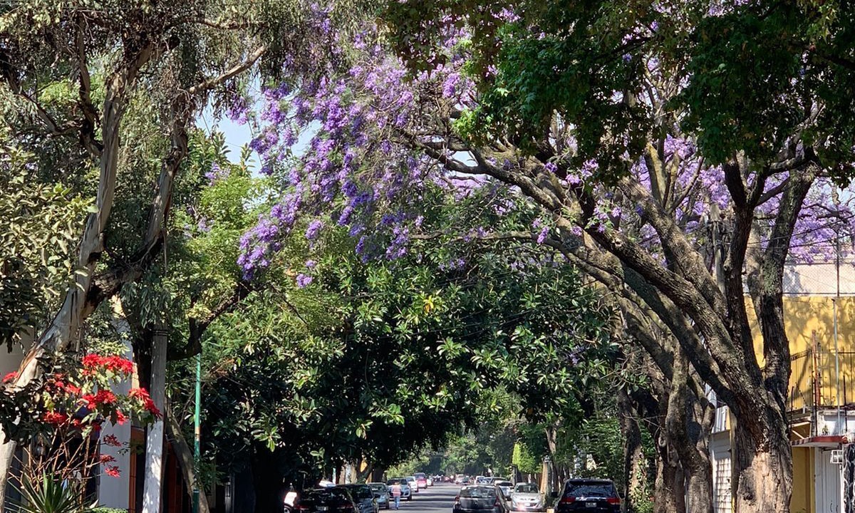 Photo of Others in Santa Catarina