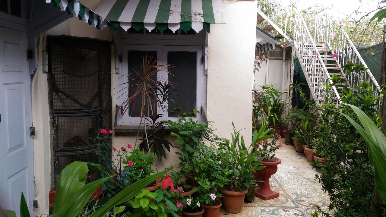 Photo of Outdoor in Marine Lines