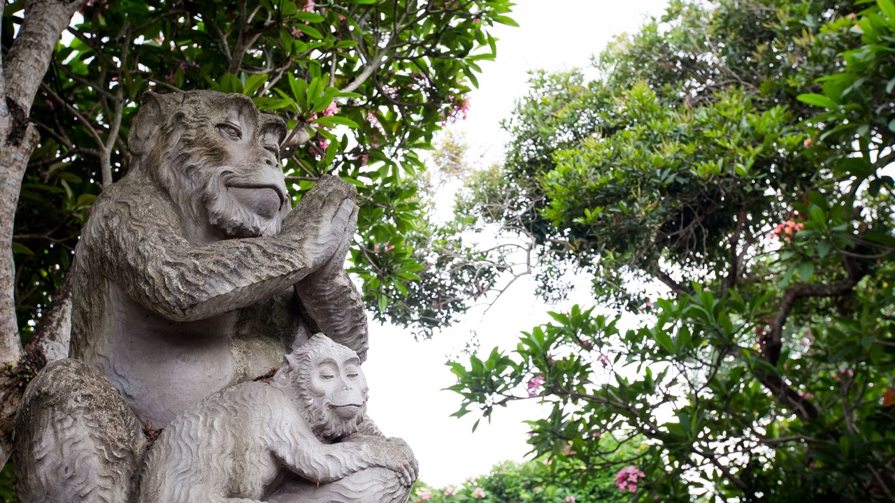 Photo of Outdoor in Nyuh Kuning
