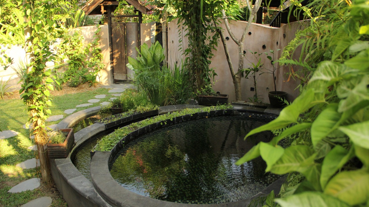Photo of Outdoor in Timbulharjo
