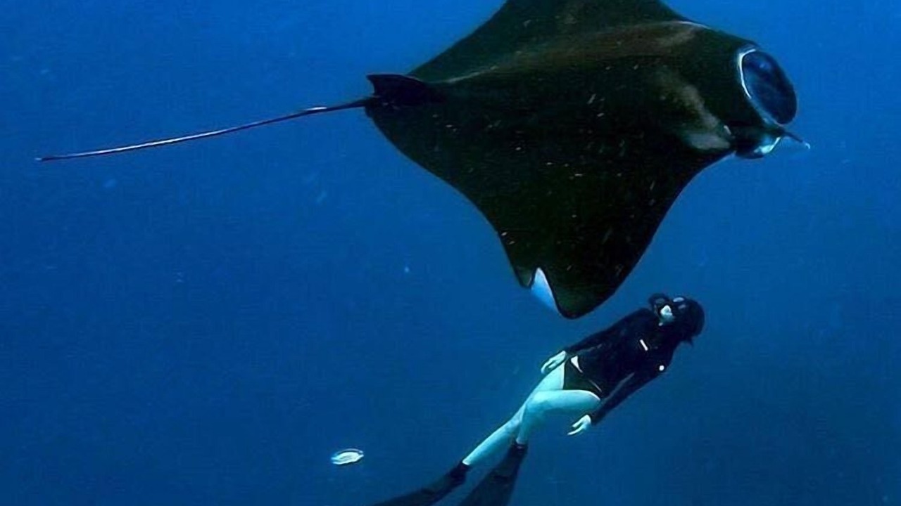 Photo of Others in Labuan Bajo