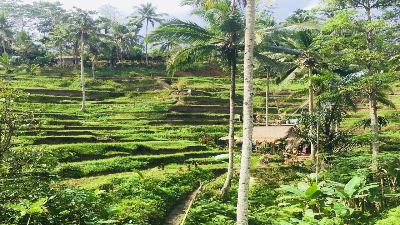 Photo of Outdoor in Sebatu