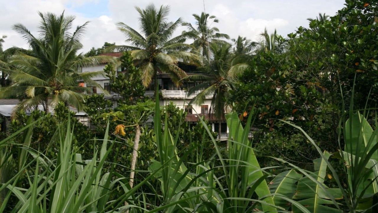Photo of Outdoor in Sebatu