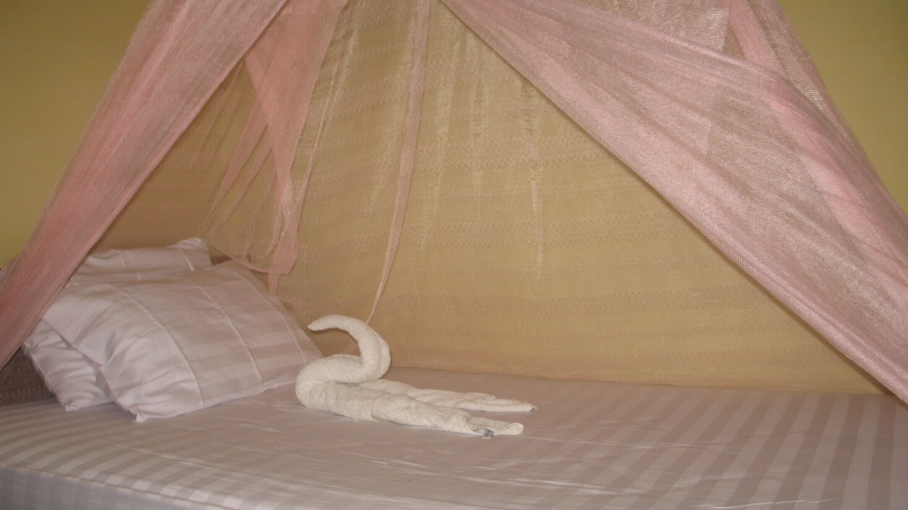 Photo of Bedroom in Temukus