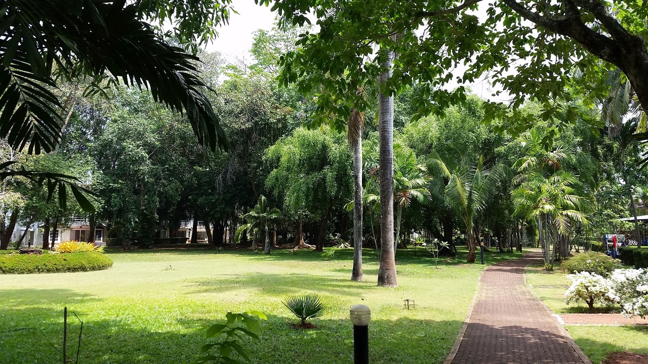 Photo of Outdoor in Kram