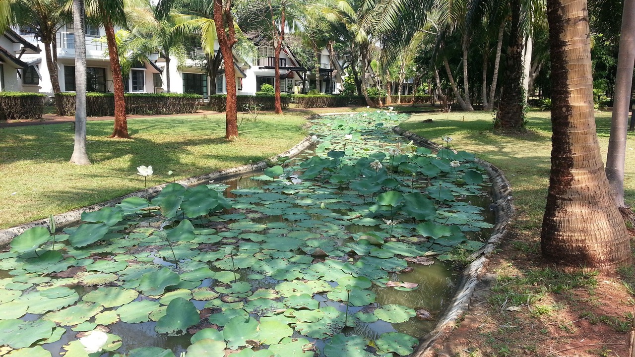 Photo of Outdoor in Kram