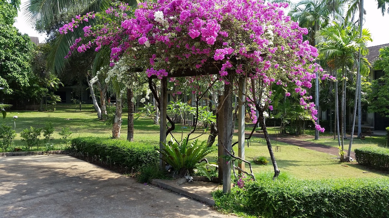 Photo of Outdoor in Kram