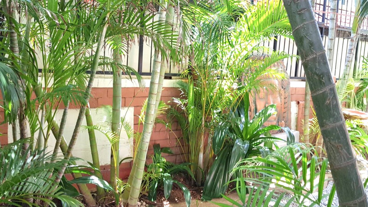 Photo of Outdoor in South Pattaya