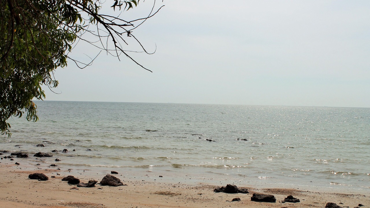 Photo of Others in Si Rusa