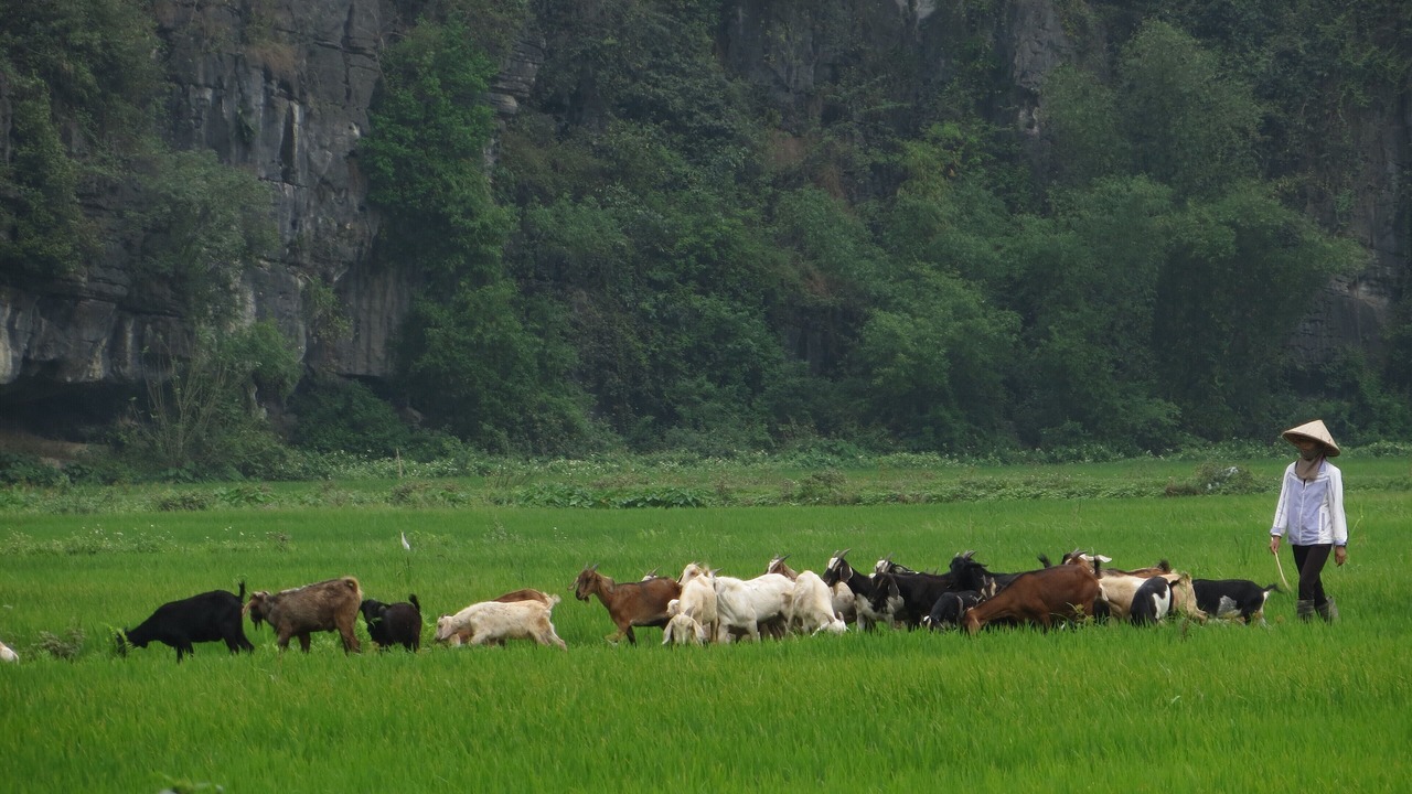 Photo of Outdoor in Hoa Lu