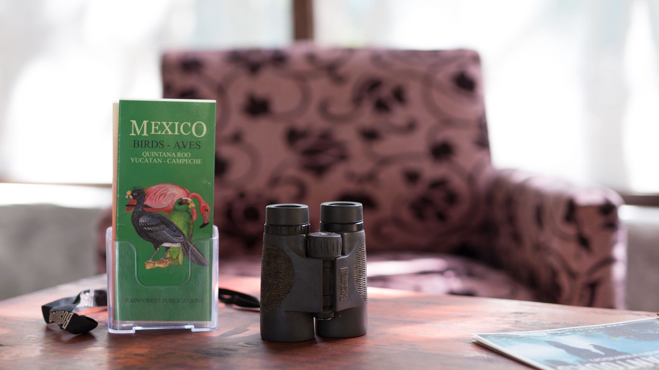 Photo of Others in Tulum
