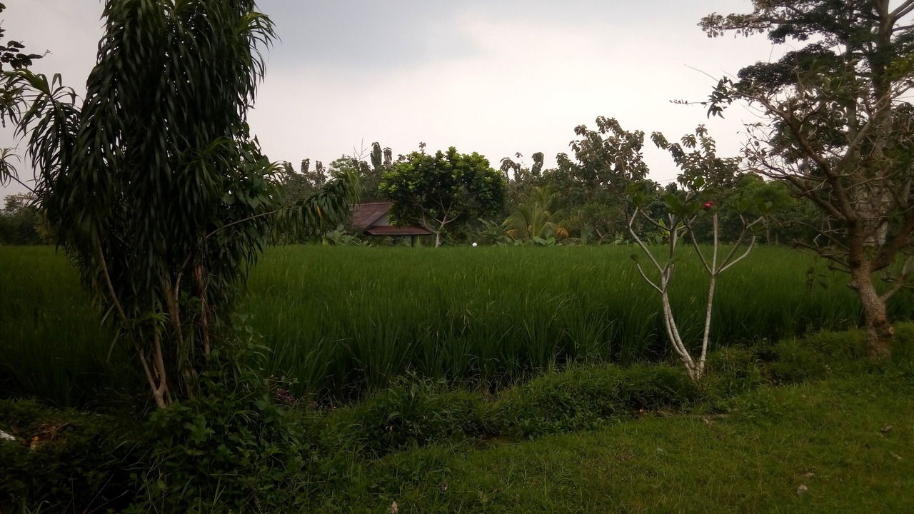Photo of Outdoor in Bogor