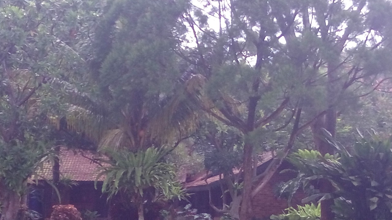 Photo of Outdoor in Bogor
