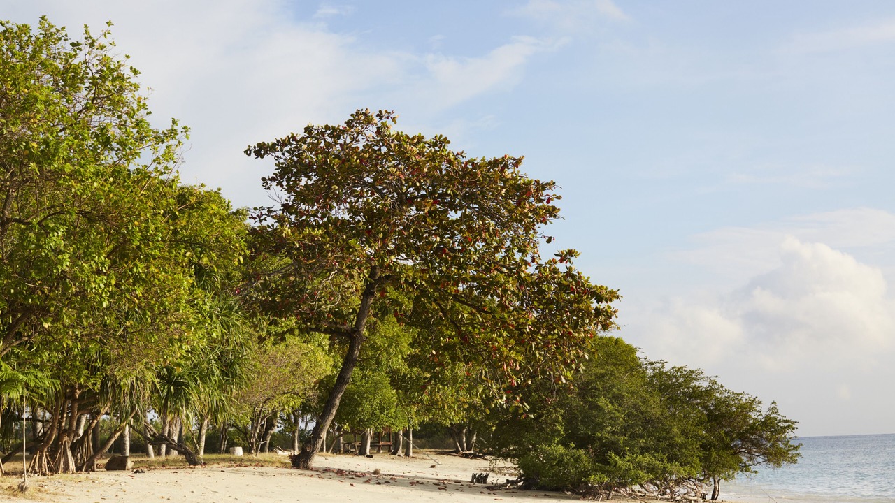 Photo of Others in Gili Gede