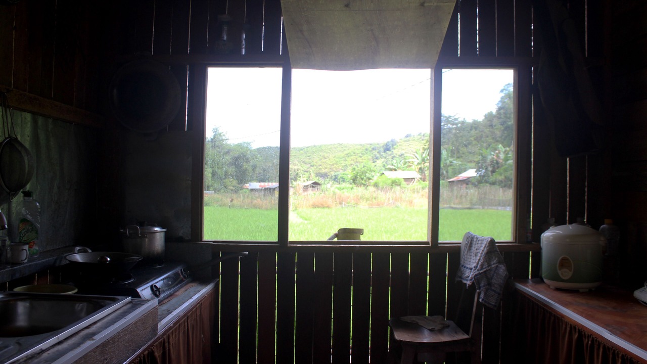 Photo of Kitchen in Harau