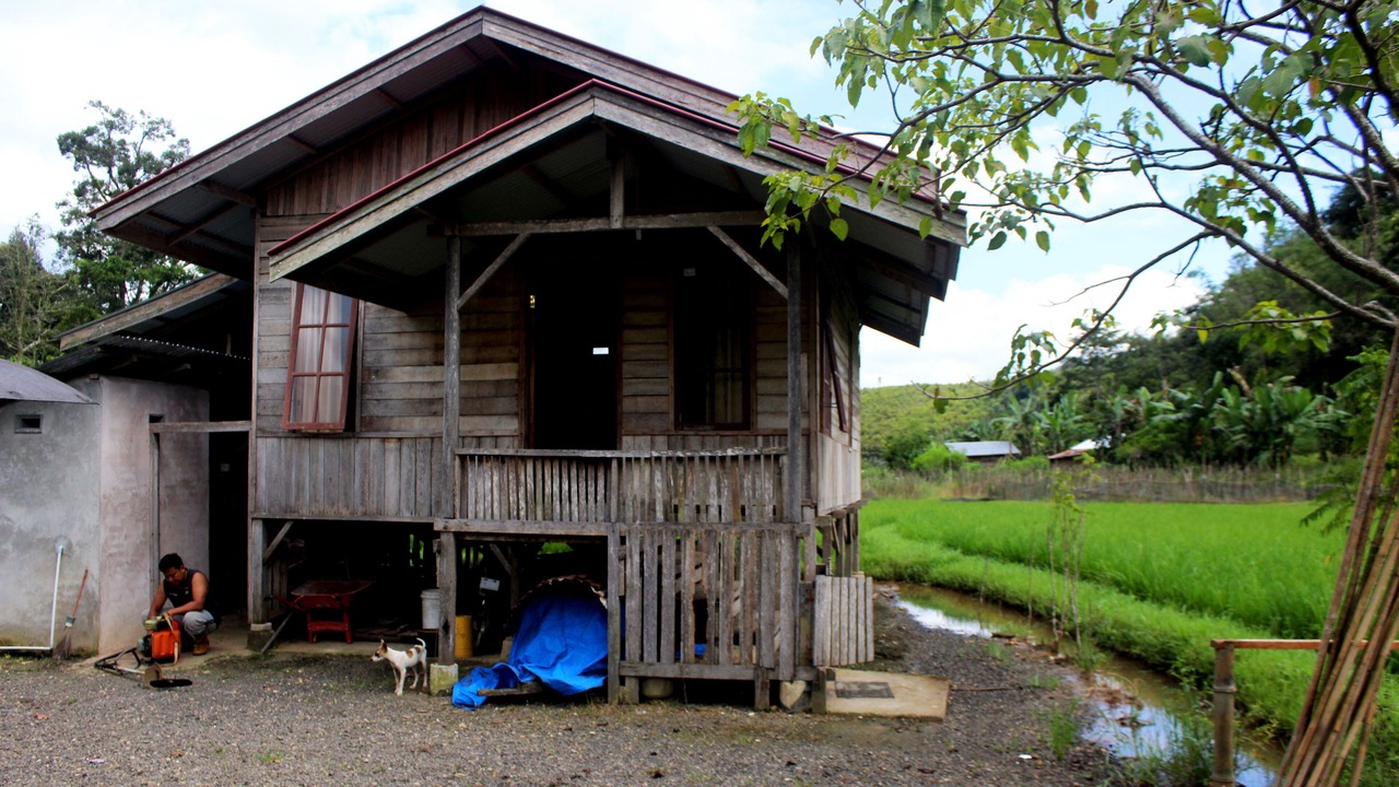 Photo of Outdoor in Harau