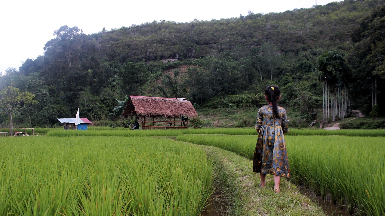 Photo of Others in Harau