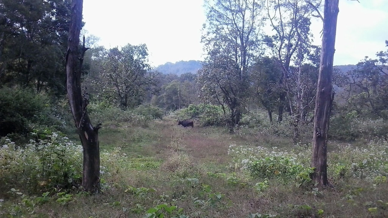 Photo of Outdoor in Kaimane