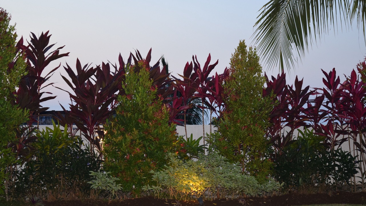 Photo of Outdoor in Kayu Putih