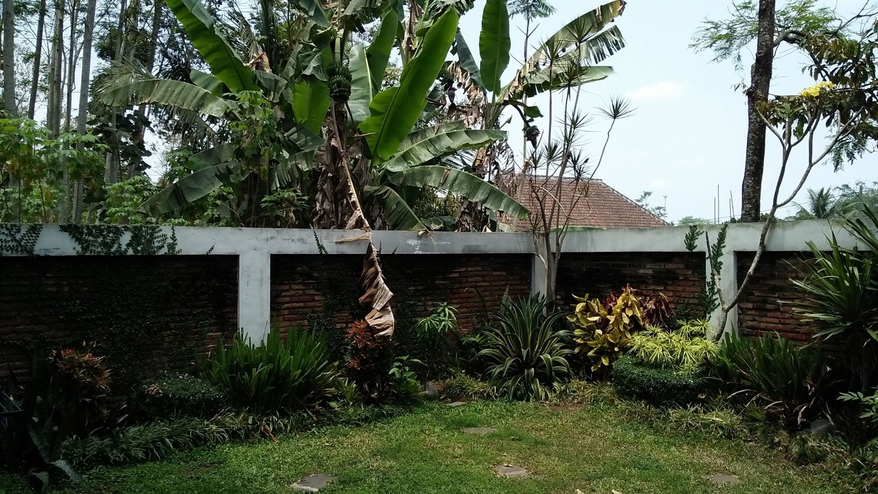 Photo of Outdoor in Dinoyo