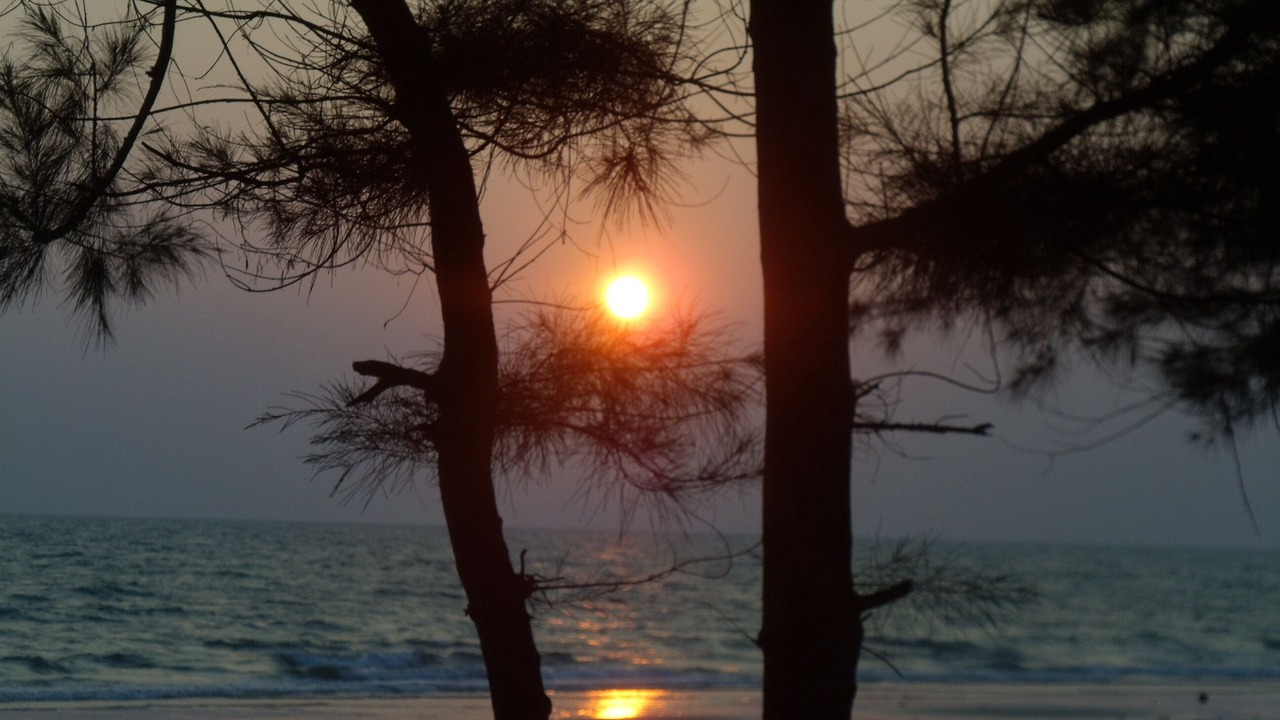 Photo of Others in Rayong