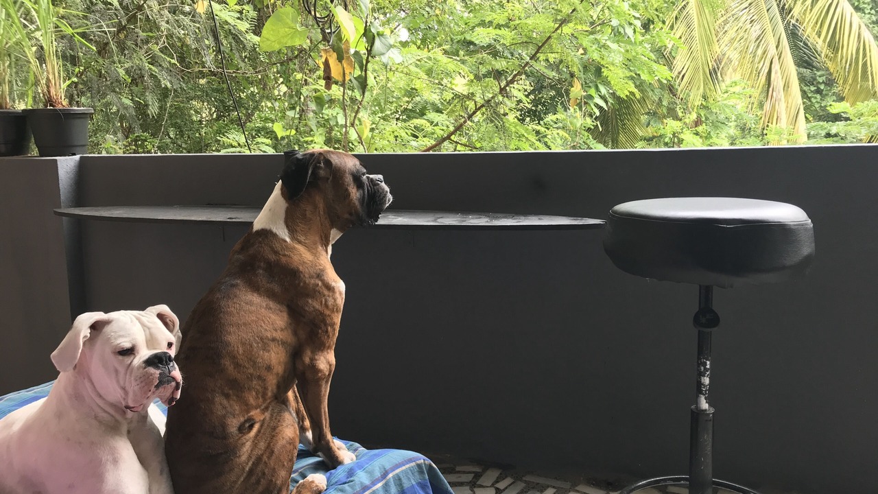 Photo of Outdoor in Koramangala