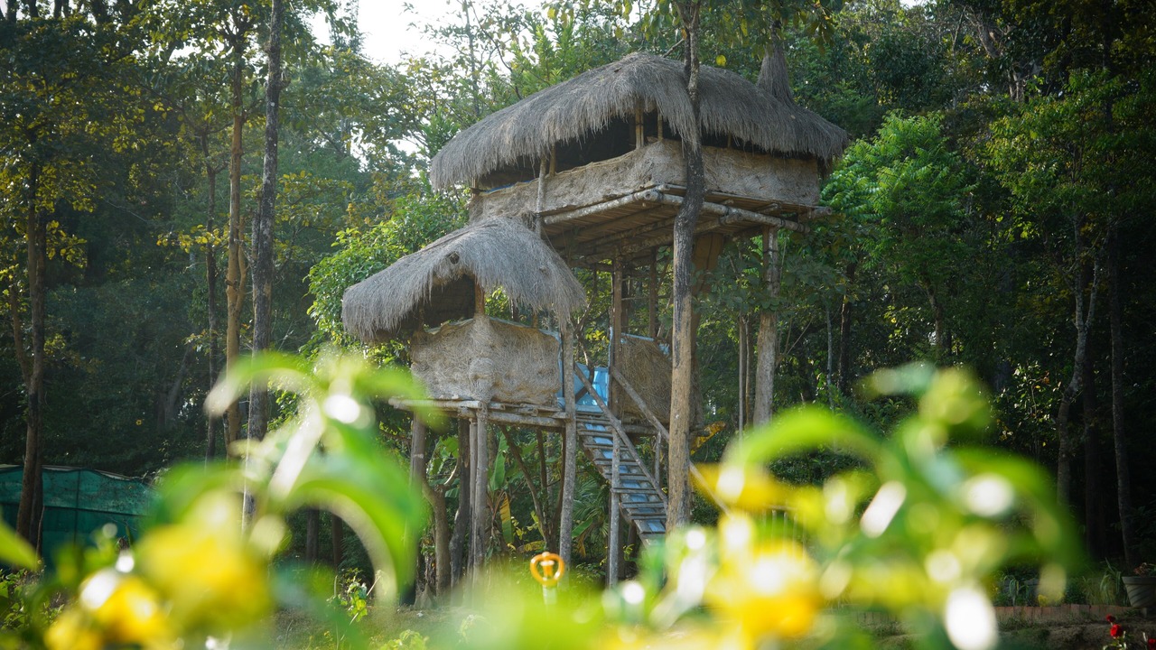 Photo of Outdoor in Kaimane