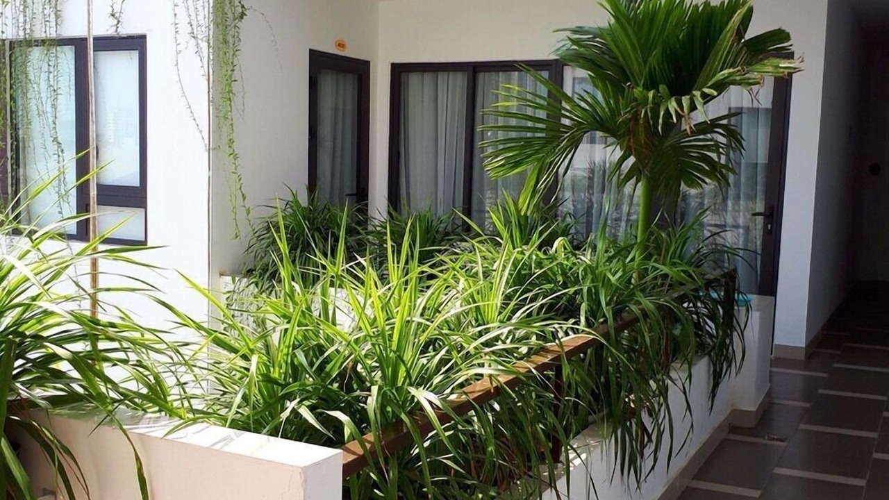 Photo of Outdoor in Hai Chau
