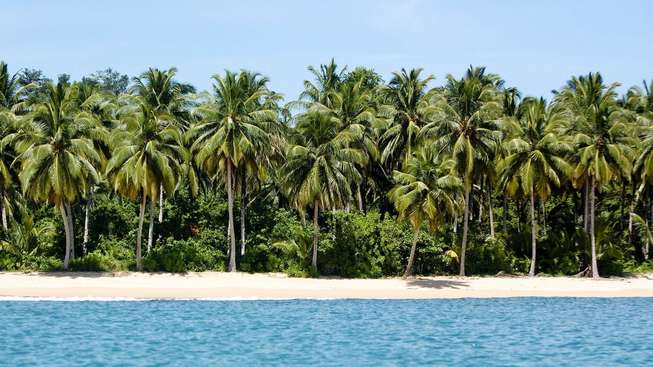 Photo of Others in Nias
