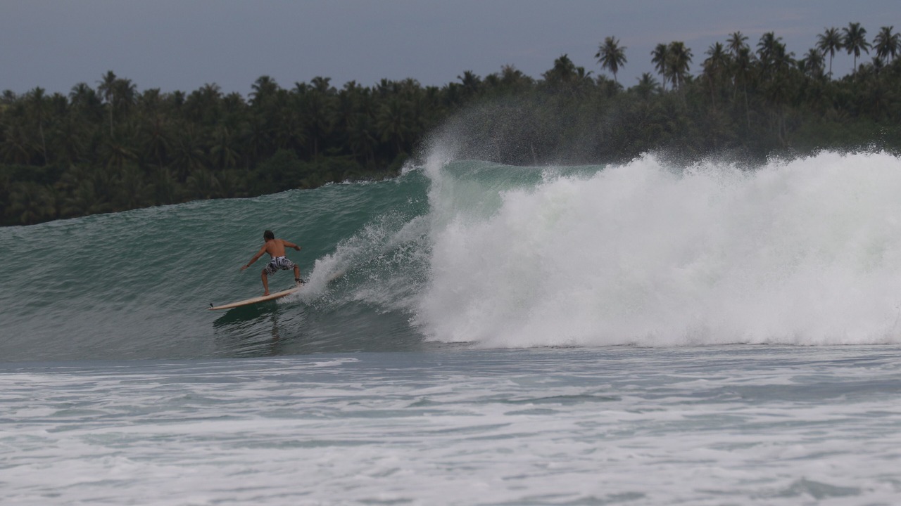 Photo of Others in Nias