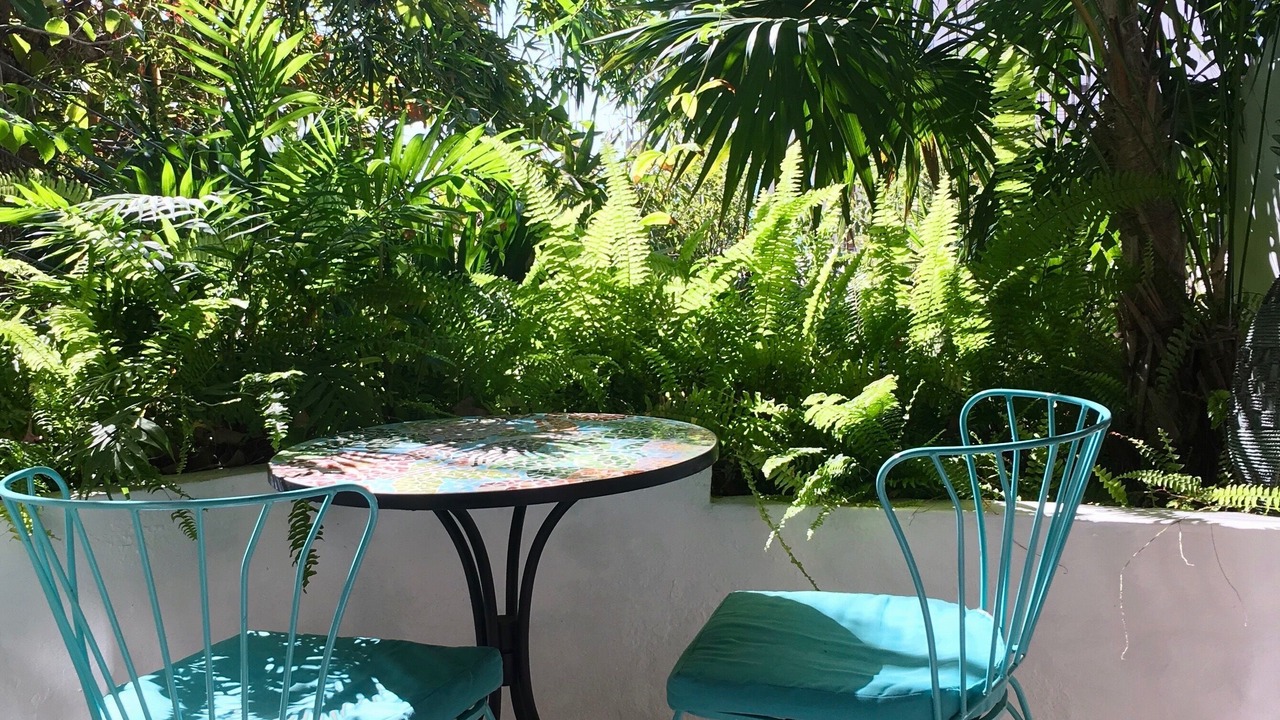 Photo of Outdoor in Amapas