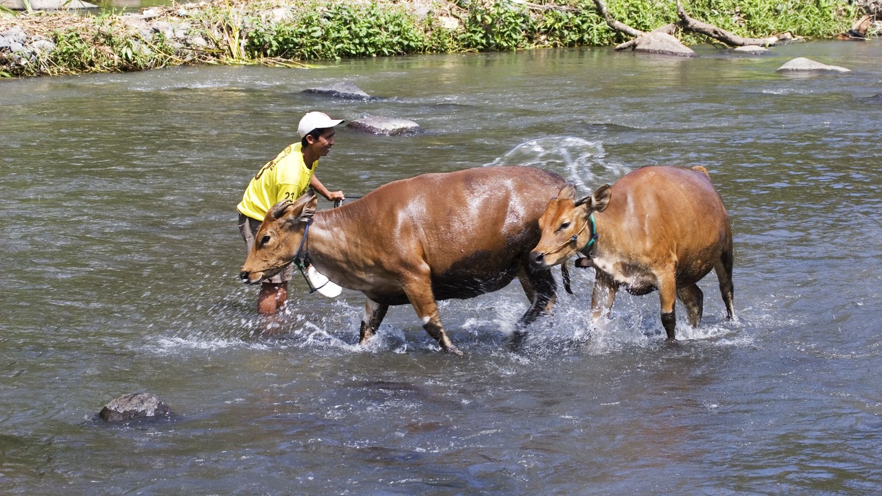 Photo of Others in Dencarik