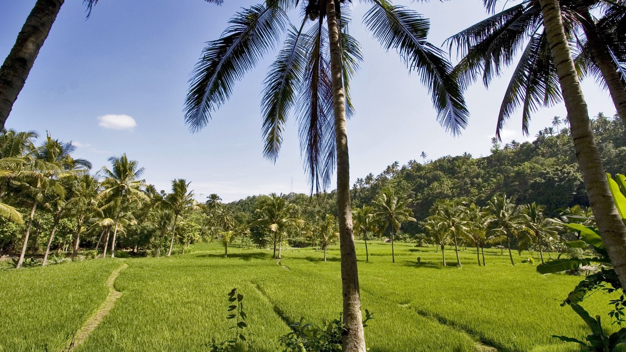 Photo of Outdoor in Dencarik
