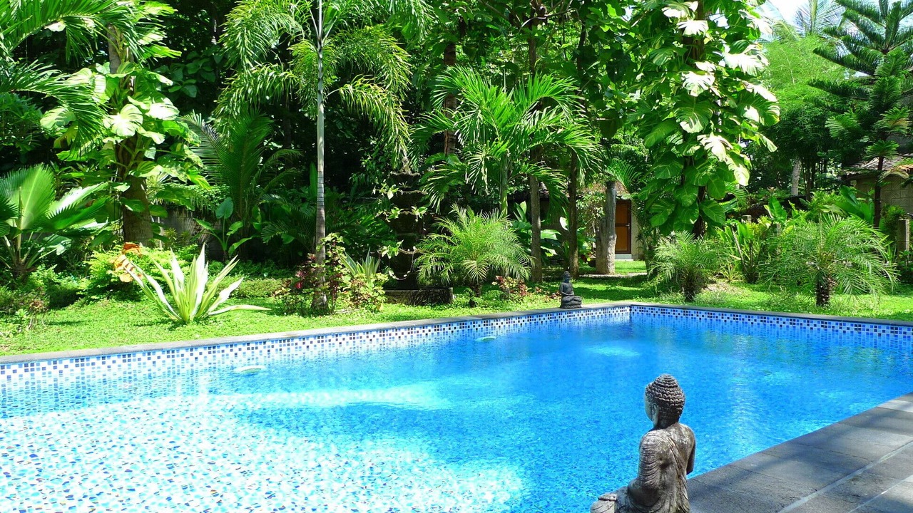 Photo of Outdoor in Lovina