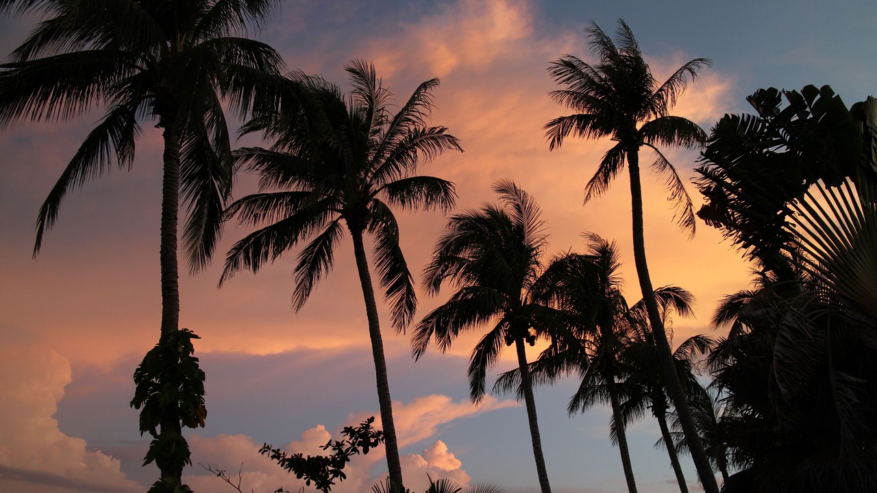 Photo of Outdoor in Thong Krut